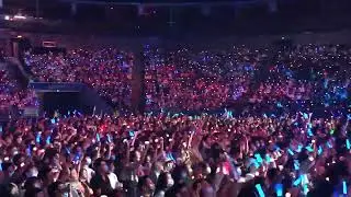 Ikimonogakari - blue bird live 2021