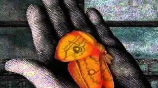Ga no Iru Tokoro 蛾のいるところ  (A Place Where There Are Moths)