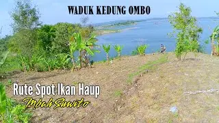 MANCING WKO‼️RUTE SPOT MANCING LIAR MBAH SUWITO WKO || IKAN MAKAN #mancing #fishing #tilapia #wko 