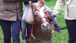 Il pony Pedro e il cane Titan ai campi invernali Csi: &egrave; tornata la &ldquo;Befana della Biodiversit&agrave;&rdquo;