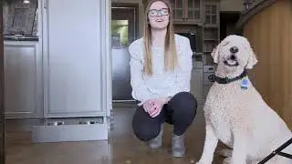 Pet Friendly Kitchens | Hiebert Cabinets