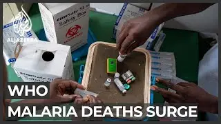 Malaria deaths surge in Africa amid fight against COVID-19