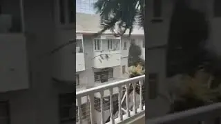 Nivar cyclone | speed of cyclone