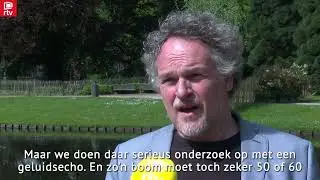 150 jaar oude rode beuk Kruidtuin krijgt snoeibeurt