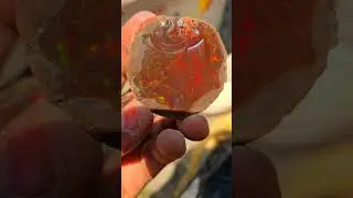 Shewa Opal #weloopal