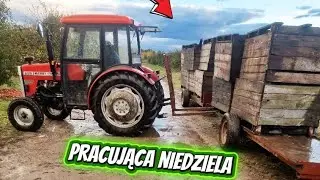 Niedzielna praca w siano sie obraca. To był dobry dzień! 