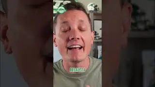 Почему Джастин Филдс ТАК раздражает!