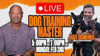 Keeping Up With The Nuances of Dog Training | Nate Schoemer @NateSchoemer