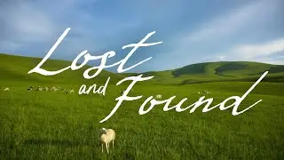 Lost and Found wk 2: The Lost Coin