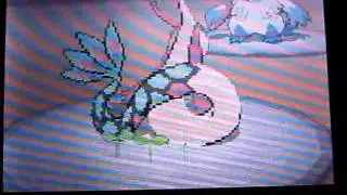 PKMN Black wi-fi match 55# vs Gearswill : the dragometeor