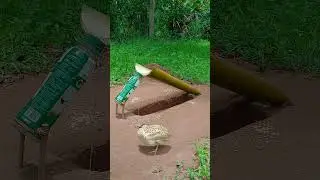 Quail trapping techniques #ytshorts #shorts #technique #newvideos
