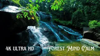 4K Real Nature Waterfall with Natural Sounds | Meditation, Relaxation & Fast Sleep Ambience!
