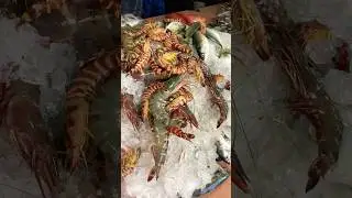 Vegetable and Fish Market of Kerala, South India | Travel | Culture | Diversity |