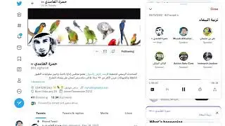 هجوم الببغاء عليك و نتف الريش والعض