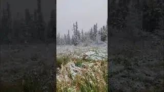 😱SNOWING NOW!😱#Prepping #SHTF #Survival #PrepperCommunity #alaska #alaskahunting
