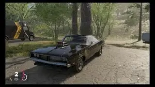 cruise