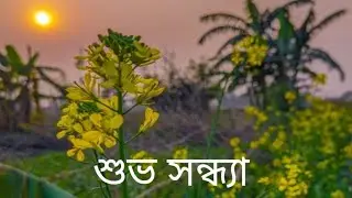 Shrabani Banerjee(NARAYAN) is live