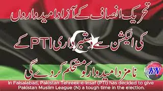 Pakistan Election 2024  | PTI's decision to give tough time to PMLN | PMLN in Trouble