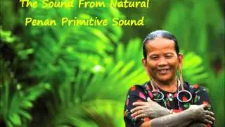 The Sound From Natural - Penan Primitive Sound (Sarawak Sape)