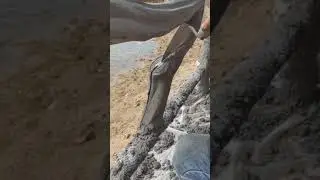 Handrail cement art work wooden looks