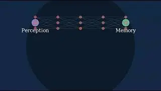 Perception and memory
