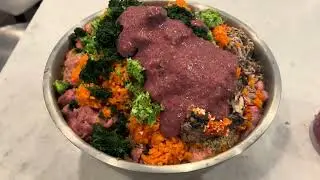 Easy Homemade Dog Food! Perfect for your allergy prone dogs!