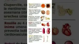 Alimente pentru organe#plantemedicinale #remediibabesti #sanatatedintrunatură #viral