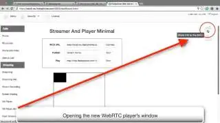HTML5 RTSP WebRTC Player