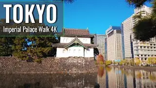 Tokyo Imperial Palace Walk | Peaceful Morning in Japan (4K)