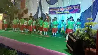 IPS school  bagh annual function dance video