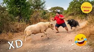 Funny Videos 🤣 If You Laugh You Lose GOD LEVEL #841 😎 Mexican Viral Humor 🤣