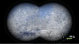 theHunter: Call of the Wild RUDOLF???