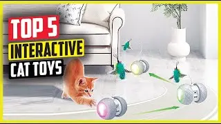 Best Interactive Cat Toys of 2024 | Cat Toy | Best Cat Toy | Best Interactive Cat Toy | 2024