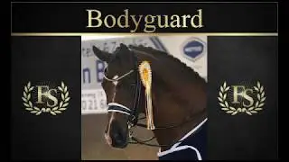 Bodyguard | Hengstschau 2020 | Ferienhof Stücker