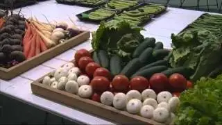 Wanneroo Show