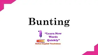 Meaning of the Word Bunting | Bunting | English Vocabulary