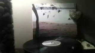 The Tallest Man on Earth - There's No Leaving Now