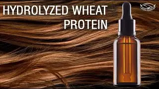 Artekas Innovation - HYDROLYZED WHEAT PROTEIN - Liquid - for Homemade Cosmetics & Other Craft Pro.