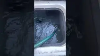 How to clean live wells
