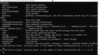 Cash2 - Get Transaction Secret Key On Command Line Wallet