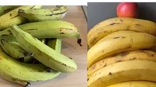 How To Ripen Green Plantains At Home In 4 Days 😲😲😲😲