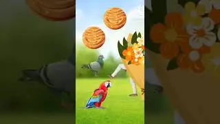 #birdmagic #parrotmagic #peacock #hansh&ouml;lzel #trending #youtubeshorts