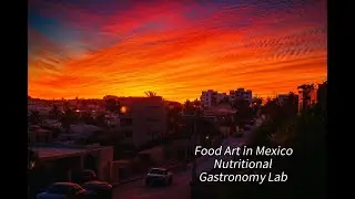 Food Art in Mexico 🌅 Cinematic Market Colors & Macro Food Textures (Baja Sur)