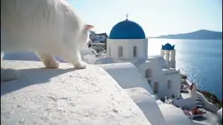 A Cat Explores the Rooftops of Santorini, Greece 🐾🇬🇷