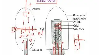 Triode Valve