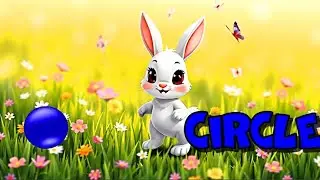 Learn Shapes  Bunny and the Circle 🐰⭕ Find the Shape