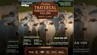 Leil&atilde;o do Tathersal Torquato Carvalho Viglioni | Montes Claros/MG
