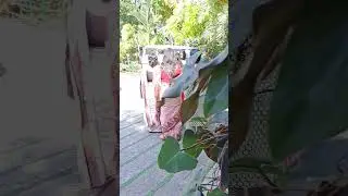 Sukhamo Devi Location || Balaraman Died Scenes || shooting || || Flowers  #serial   #flowerscomedy