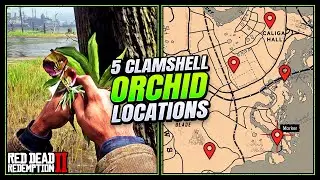 RDR2: Clam Shell Orchid Locations - FAST & EASY Guide (Duchesses & Other Animals Guide)