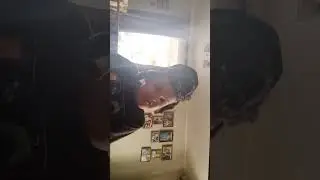 sdcx